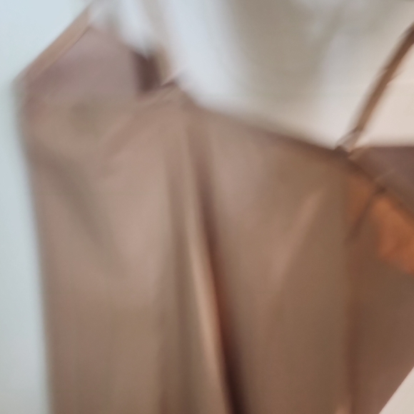 Fashion Nova Nude Bodycon Slip Dress - Picture 6 of 6